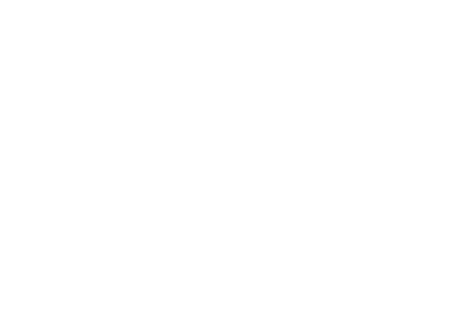 digital nigeria logo